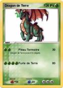 Dragon de Terre
