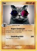 Cat