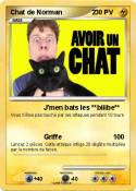 Chat de Norman
