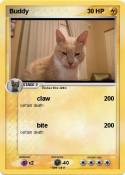 Buddy