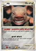pig