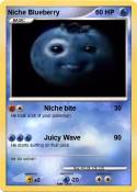 Niche Blueberry