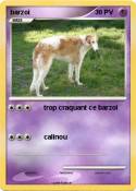 barzoi
