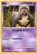 bully