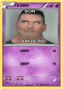 I R DERP