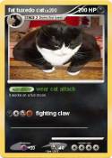 fat tuxedo cat