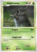 Granite bunny