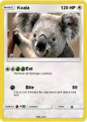 Koala