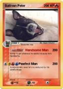 Sullivan Peter