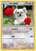 cute puppy