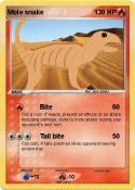 Mole snake