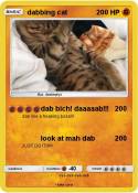 dabbing cat