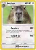 Capybara