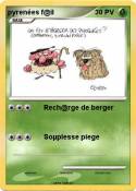 pyrenées f@il