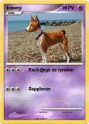basenji