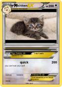 kitten
