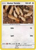 Worker Termite