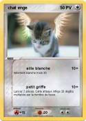  chat enge
