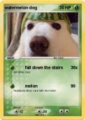 watermelon dog