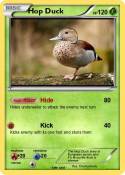 Hop Duck