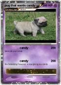 pug that wants