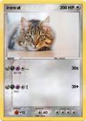 ironcat