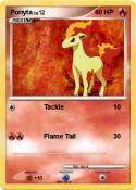 Ponyta