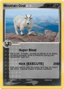 Mountain Goat