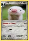 Pig