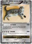 house cat