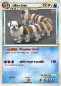 mille-chien