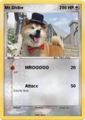 Mr.Shibe