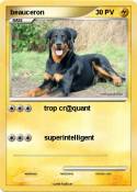 beauceron