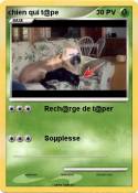 chien qui t@pe
