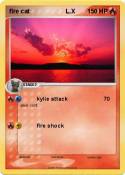 fire cat L.X