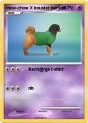 chow-chow X