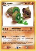 Kiwi mouse