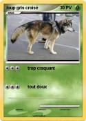 loup gris