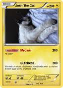 Josh The Cat