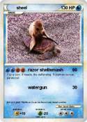 sheel