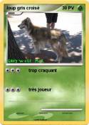 loup gris crois