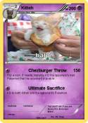 Kitteh