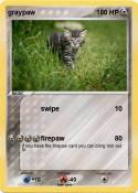 graypaw