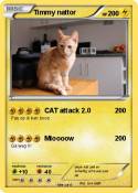 Timmy nattor