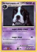 the best puppy