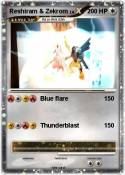 Reshiram & Zekr