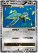 tortue cruelle