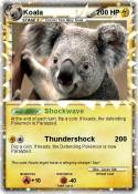 Koala