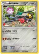 leaf blower