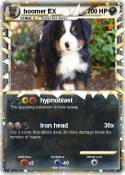 boomer EX